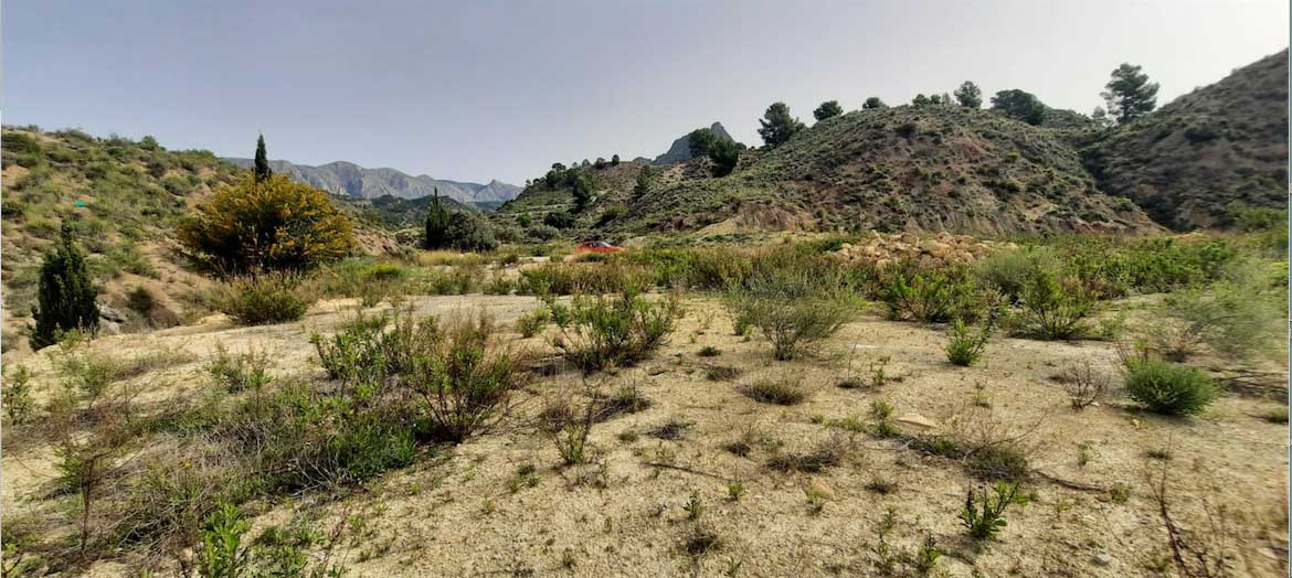 Terreno en Orxeta