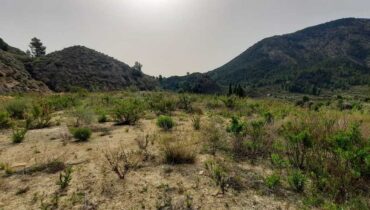 Terreno en Orxeta