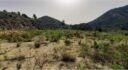 Terreno en Orxeta