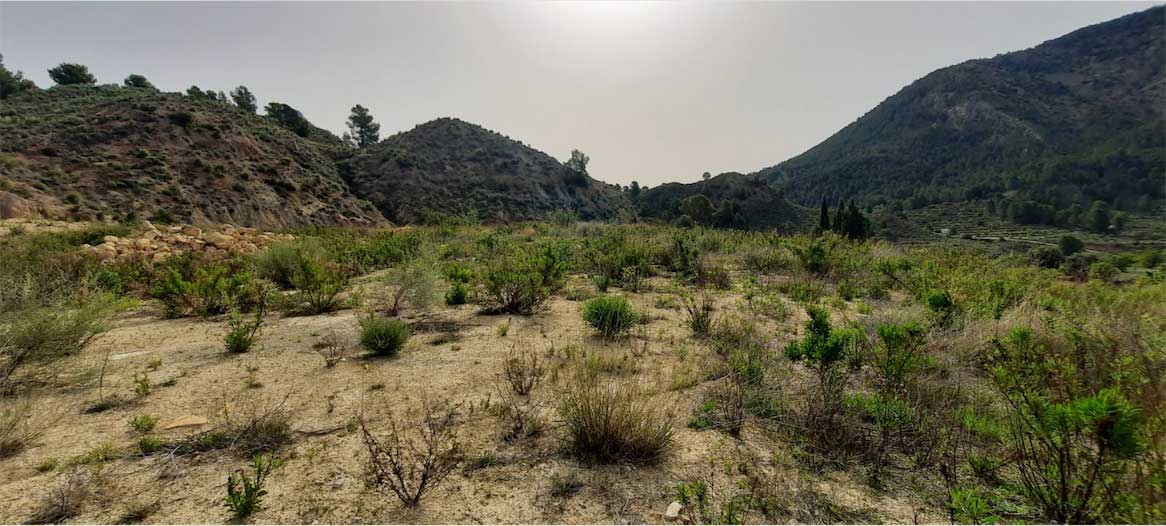 Terreno en Orxeta